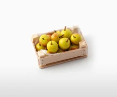 dollshouse-img