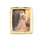 MC5009 Wedding Picture