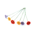 E4947 - Six Pretty Gerberas