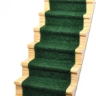 CASG44 - Ivy Green Stair Carpet