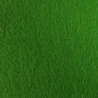 Arundel Green Carpet Or Lawn
