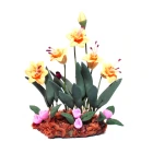 D4127 - Bed of Daffodils