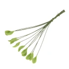Single Leaf, Pack of 12