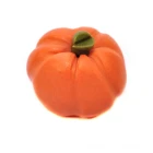 DM-F255 - Pumpkin