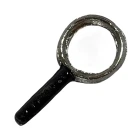 Magnifying Glass