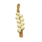 MCF1572C - String of Garlic