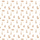 Rabbit Wallpaper
