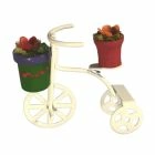 White Trike with Flowers (Discontinued)