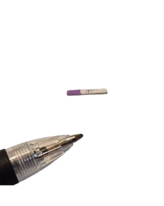 Negative Pregnancy Test  