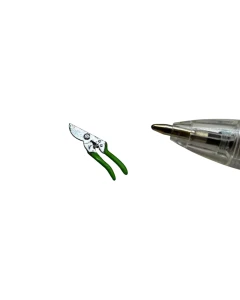 Secateurs 