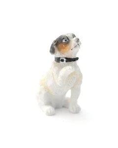 E7334 - Fergie the Jack Russell Terrier