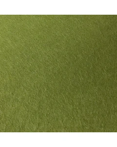 Olive Green Carpet Or Lawn