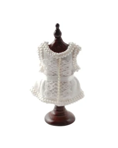 Corset On Stand