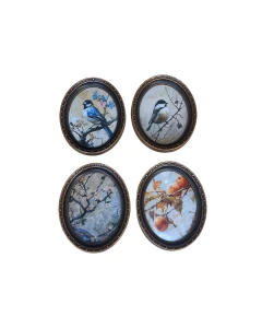 Bird Paintings Set of 4