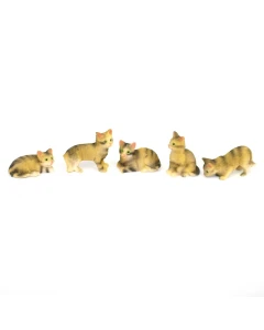 DA013 - 5 Tabby Cats