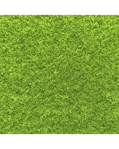 Grass Lawn