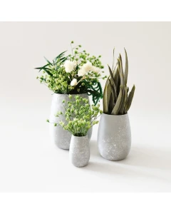 Plants in Pots (Pk 3)