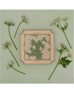 Standard Size 'Forget Me Not' Press (Discontinued)