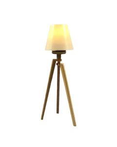 Tripod Barewood Floor Lamp - Battery Light