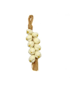 MCF1572C - String of Garlic