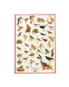 MS122 - Poster- Garden Birds