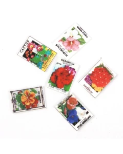 MS146 - Flower Seeds