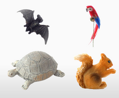 Other Animals and Accessories