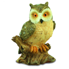 RP14215 - Owl