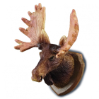 RP16079 - Moose Head
