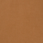 Camel Wool Mix Carpet