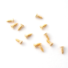 DIY492 4mm Brass Screws (12)