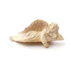E4562 - Angel Shelf Sitter