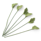 D3331 - Single Leaves (pk6)