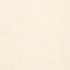 Natural Light Cream Soft Cream Carpet