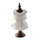 Corset On Stand