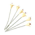 Single Yellow Lilies- Pack of 6