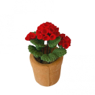 D4209 - Geraniums in a Terracotta Pot