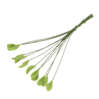 Single Leaf, Pack of 12