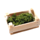 Boxed Broccoli