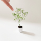Speckled Stone Potted Plant