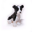 E3813 - Benji the Border Collie