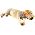 Ben The Sleepy Labrador