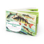 MS070 - Freshwater Fish Book