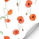 Poppy Wallpaper