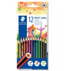 Coloured Pencils Colour, Noris Colour 12 Pack