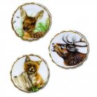 RP13905 - Forest Animal Wall Plates