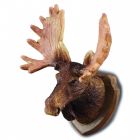 RP16079 - Moose Head