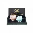 RP17215 - Blue and Pink Piggy Banks