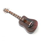 D9562 Acoustic Guitar with Case
