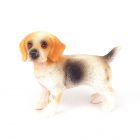 DA004 - Standing Beagle Dog